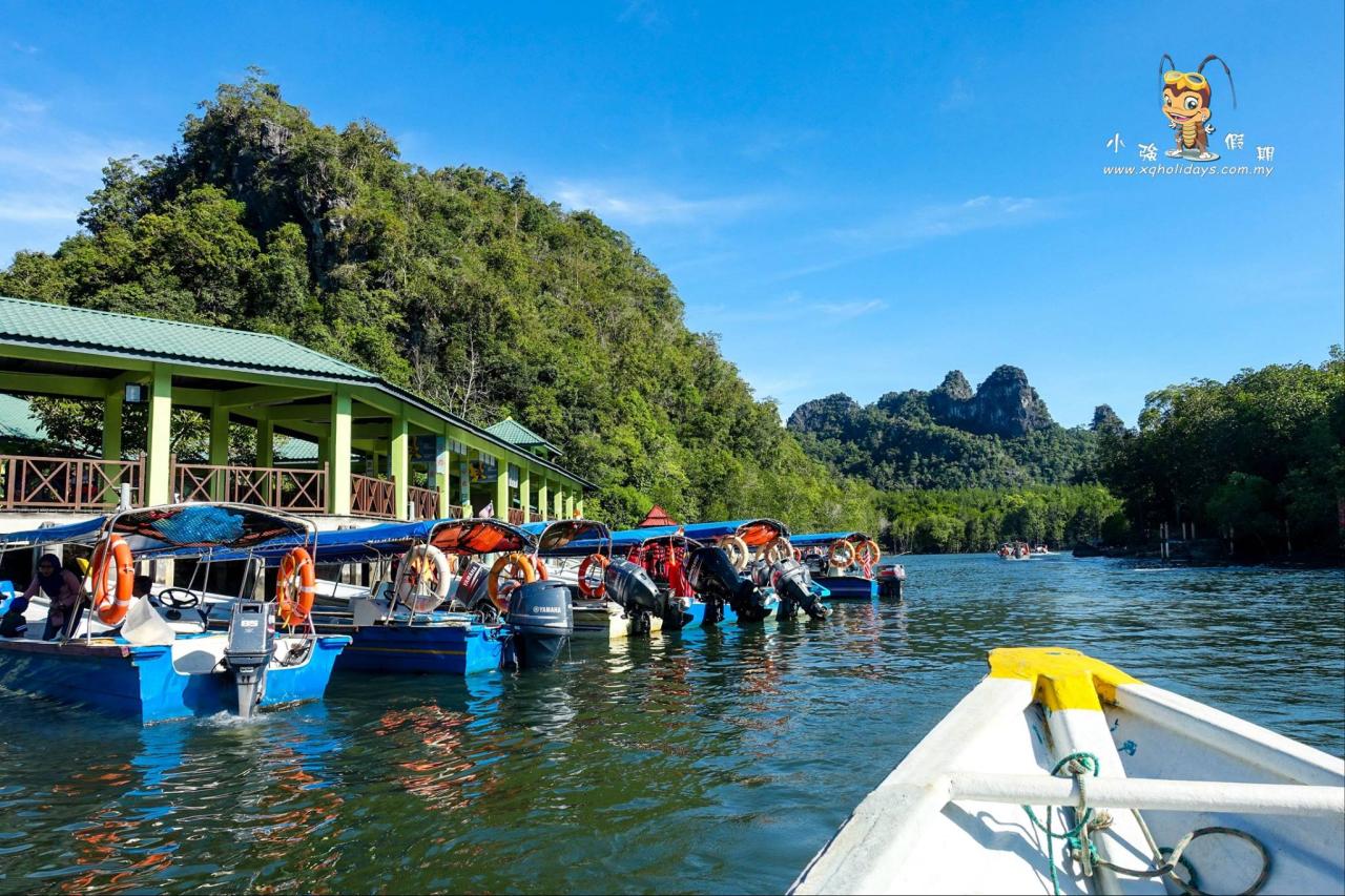 Jelajahi Ekosistem Mangrove yang Memesona di Langkawi